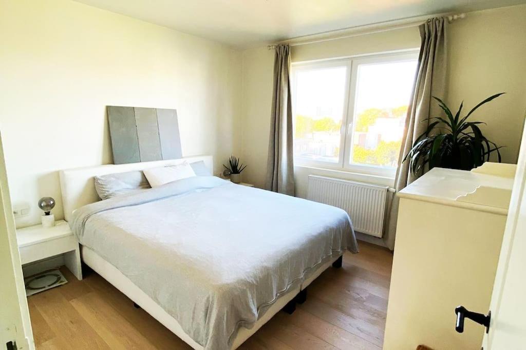 Apartment Classy Flat With Awesome View And Great Location! *